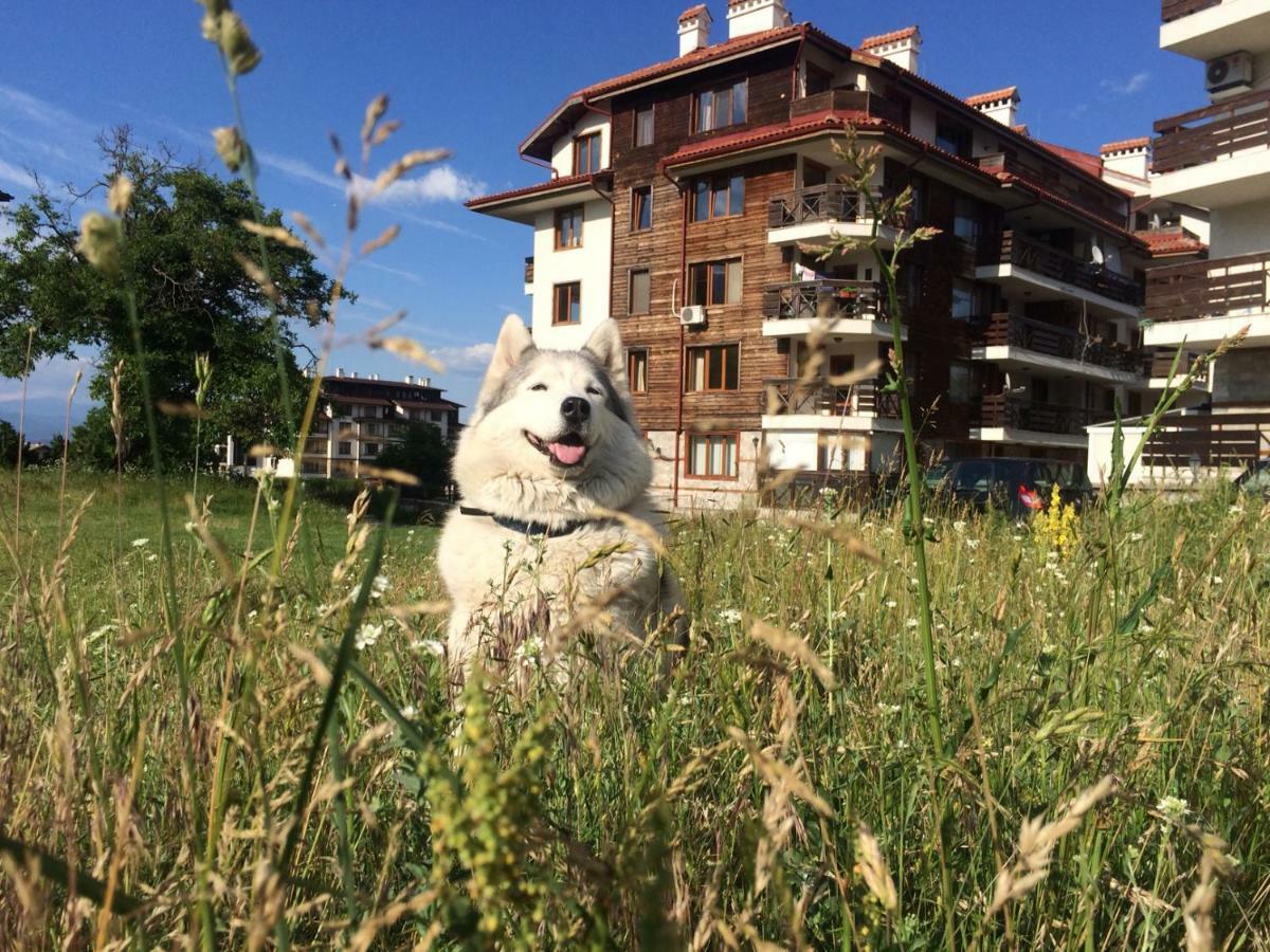 Apartments Four Leaf Clover Bansko To Rent Ngoại thất bức ảnh