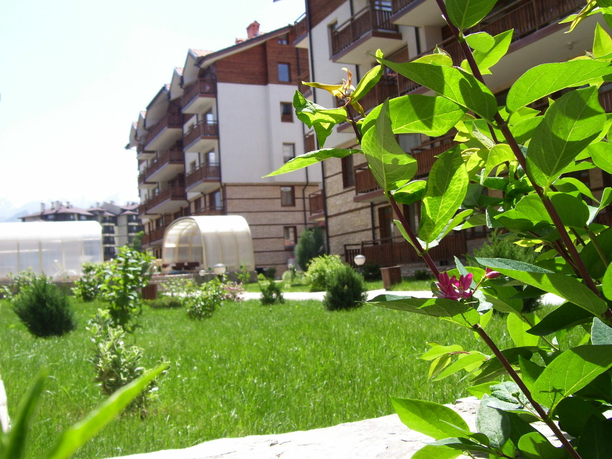 Apartments Four Leaf Clover Bansko To Rent Ngoại thất bức ảnh